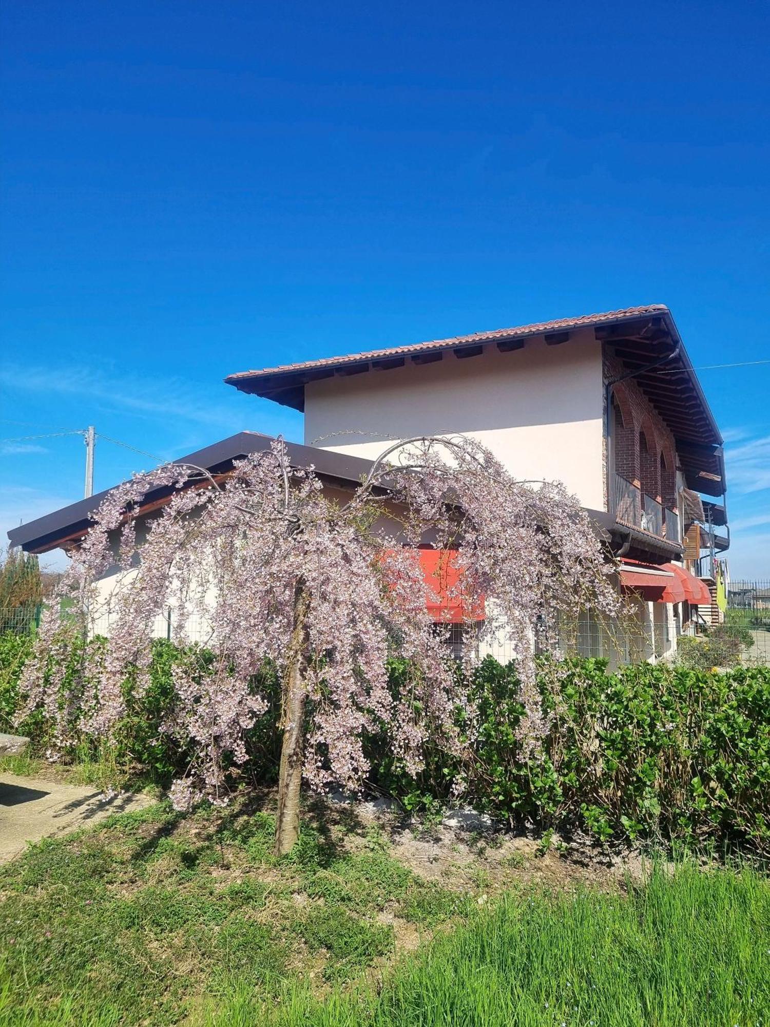 Cascina La Demilana Bed & Breakfast Bibiana Exterior foto